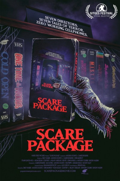 Movie poster for Scare Package (2019)