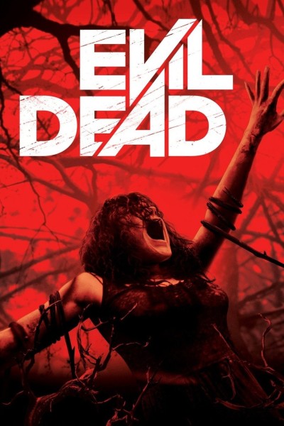 Movie poster for Evil Dead (2013)